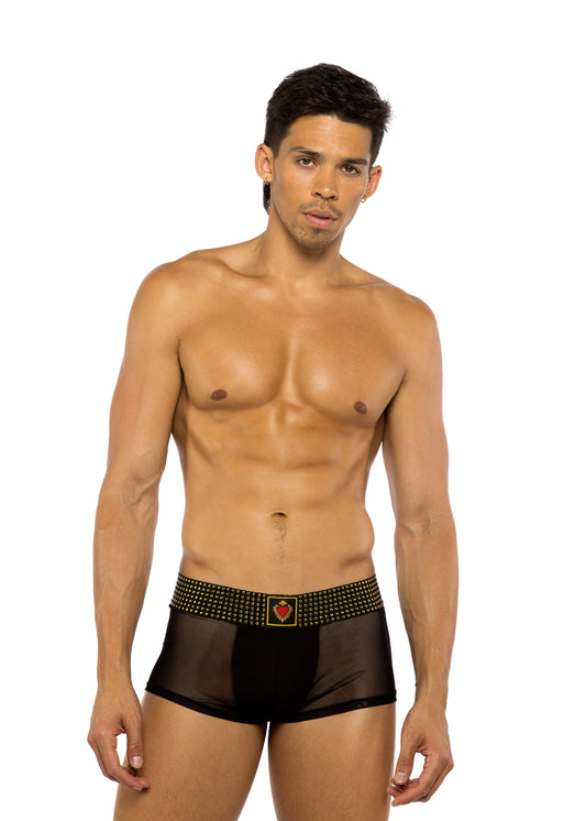 LI781 - Sacred Heart Trunks with Studded Elastic