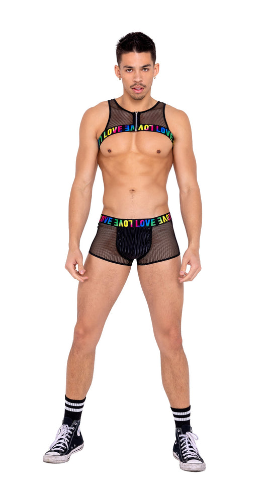 6160 - Mens Pride Fishnet Harness