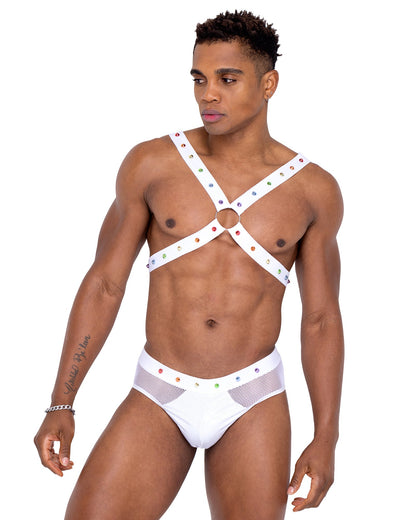 6336 - Mens Pride Fishnet & Vinyl Briefs